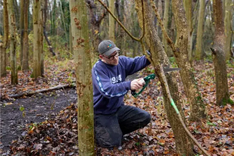 Building Skills Around Nature and Biodiversity with City of Trees