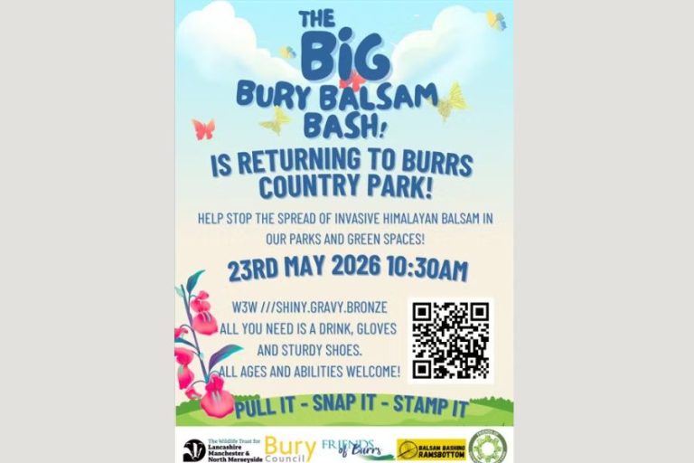 Community invited to battle invasive plants in Bury