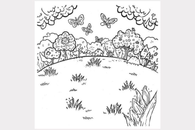Colouring Competition